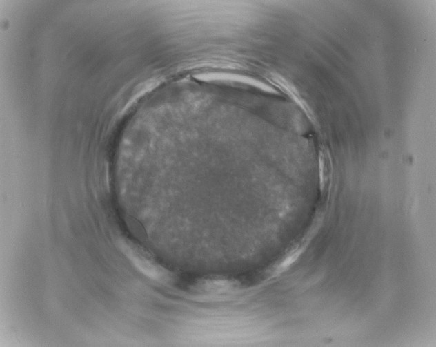 X0000070410205200607072317