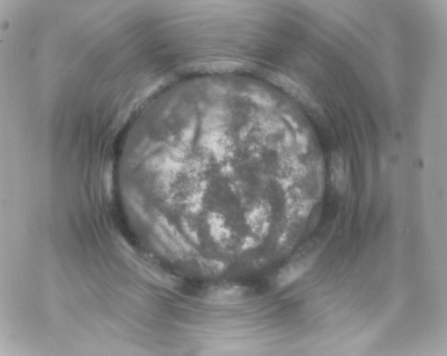 X0000070410206200607072317