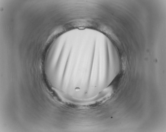 X0000070410207200607072317