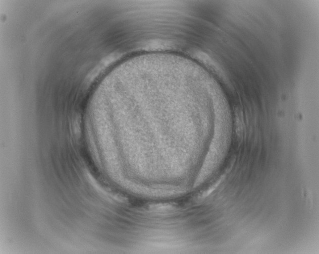 X0000070410208200607072317