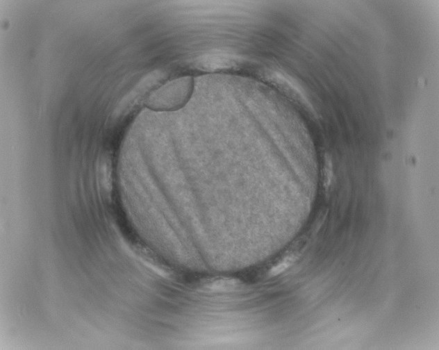 X0000070410210200607072317