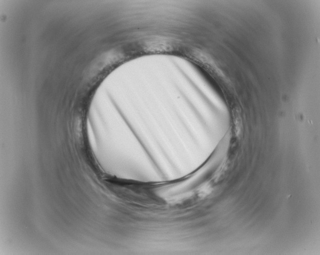 X0000070410211200607072317