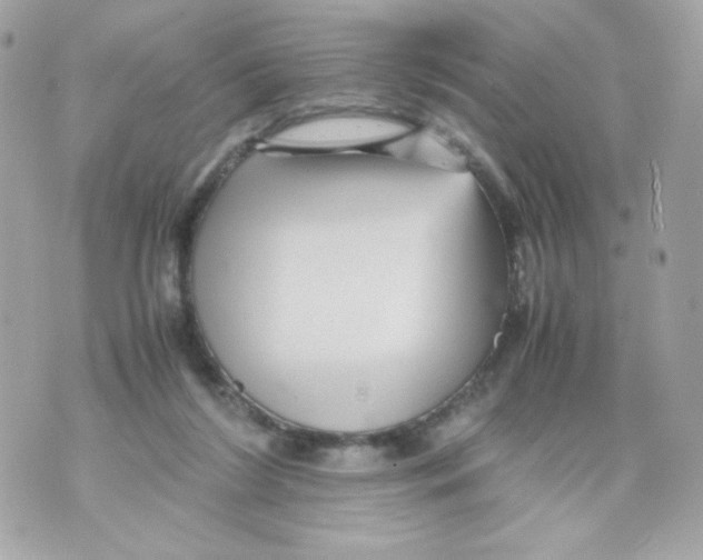 X0000070410212200607072317