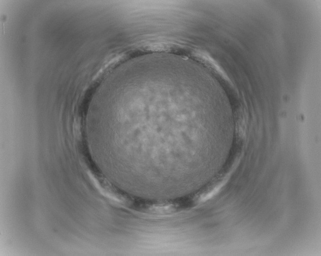 X0000070410213200607072317