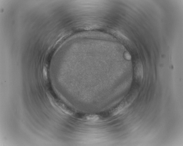 X0000070410214200607072317