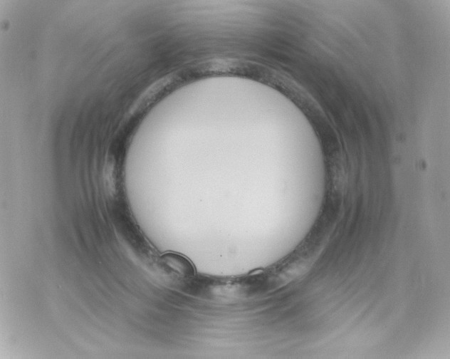 X0000070410216200607072317