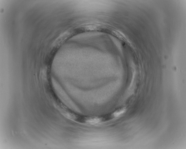 X0000070410217200607072317