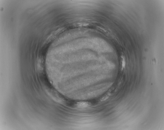 X0000070410218200607072317