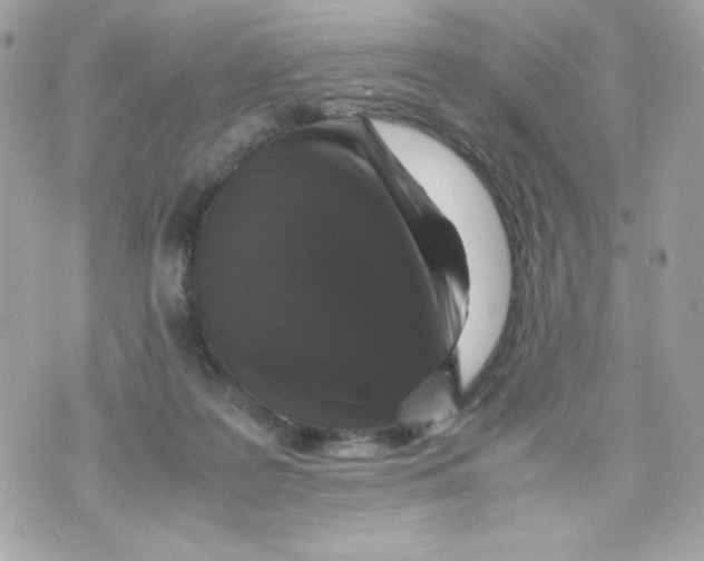 X0000070410219200607072317