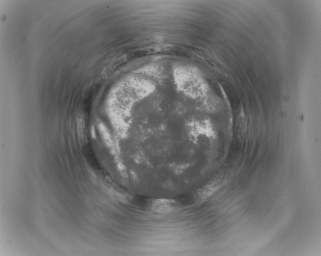 X0000070410222200607072317