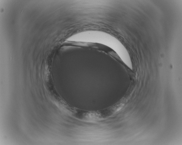 X0000070410223200607072317