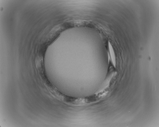 X0000070410225200607072317