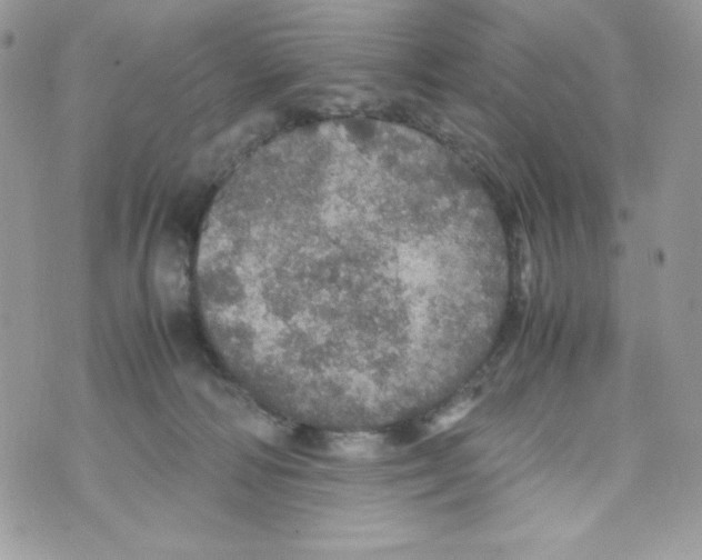 X0000070410226200607072317