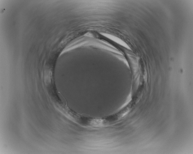 X0000070410227200607072317