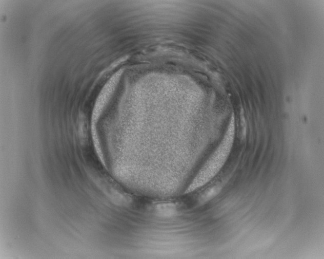 X0000070410228200607072317