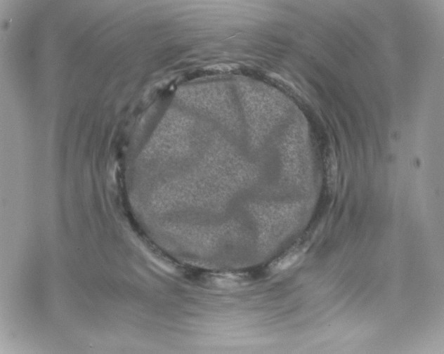 X0000070410229200607072317