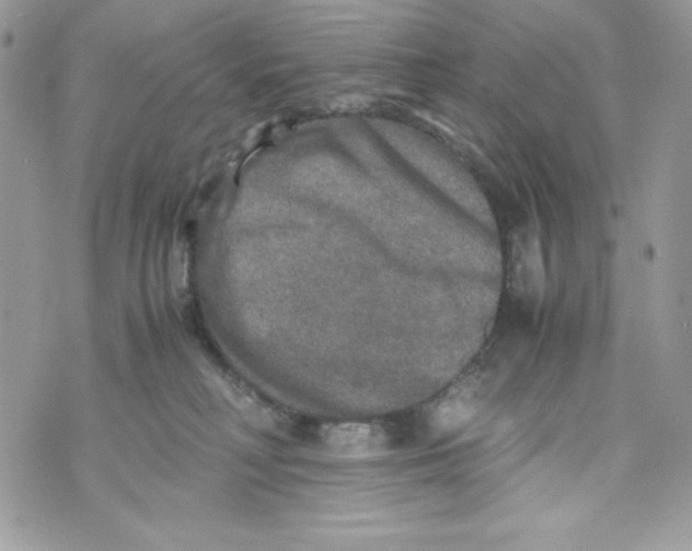 X0000070410230200607072317