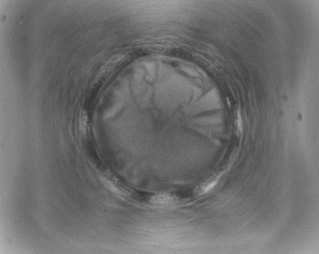 X0000070410231200607072317