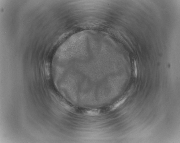 X0000070410232200607072317