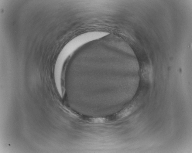 X0000070410233200607072317