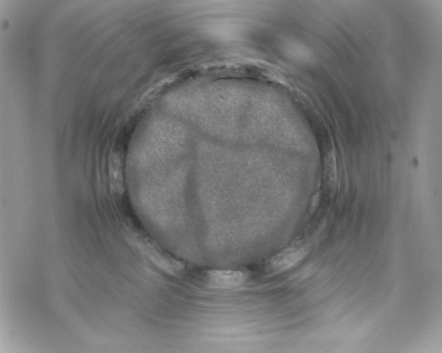 X0000070410234200607072317