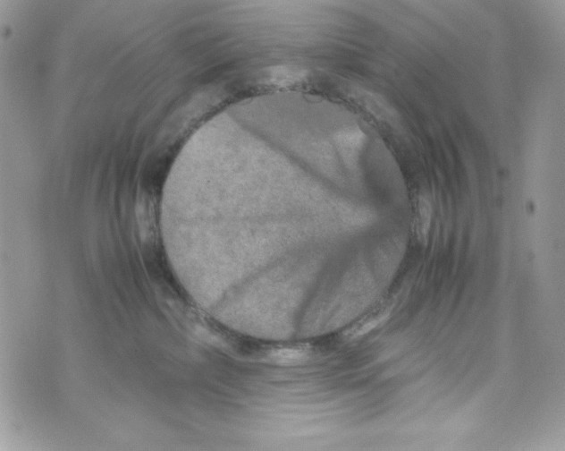 X0000070410236200607072317