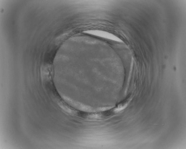 X0000070410237200607072317