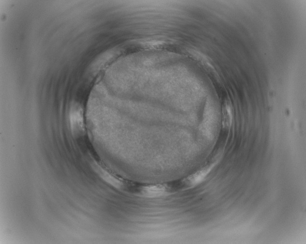 X0000070410238200607072317