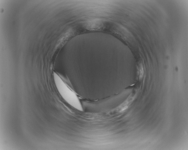 X0000070410239200607072317