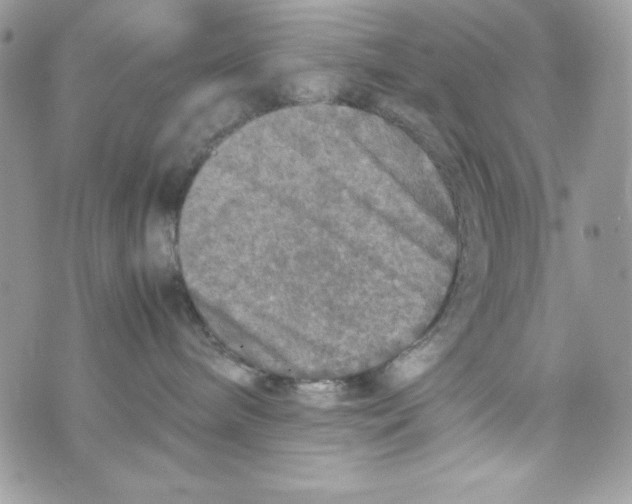 X0000070410240200607072317