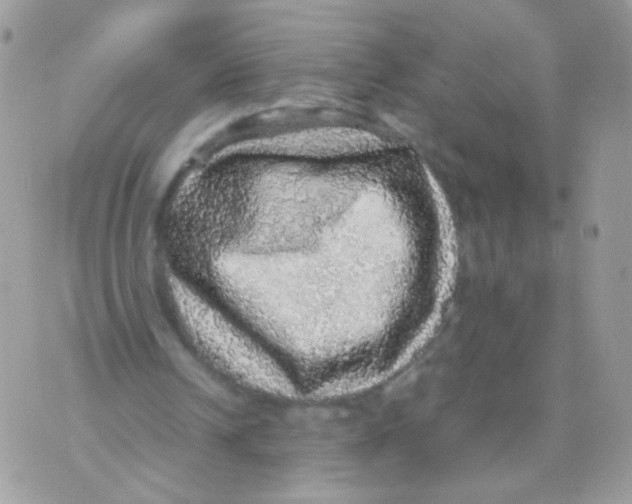 X0000070410242200607072316