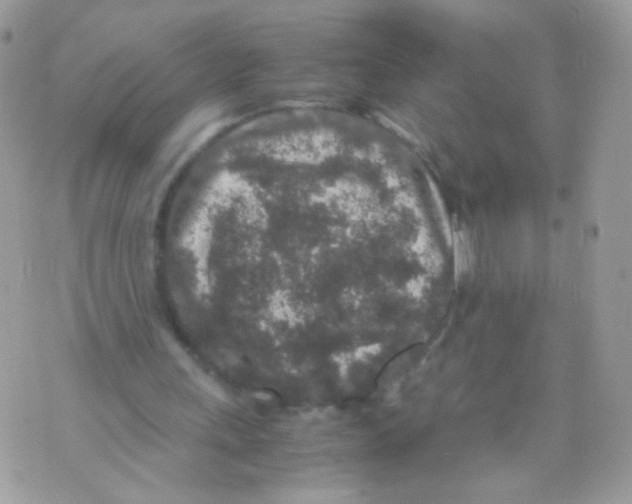 X0000070410243200607072316