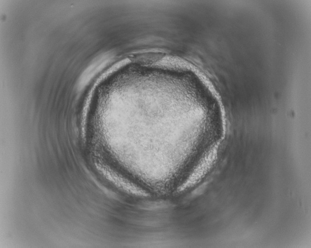 X0000070410245200607072316