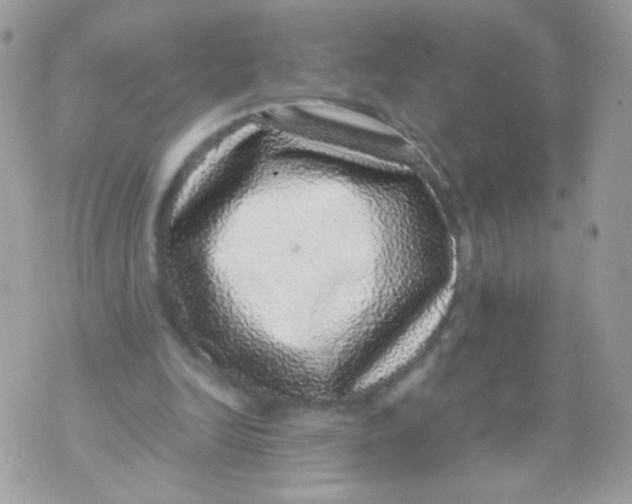 X0000070410246200607072316