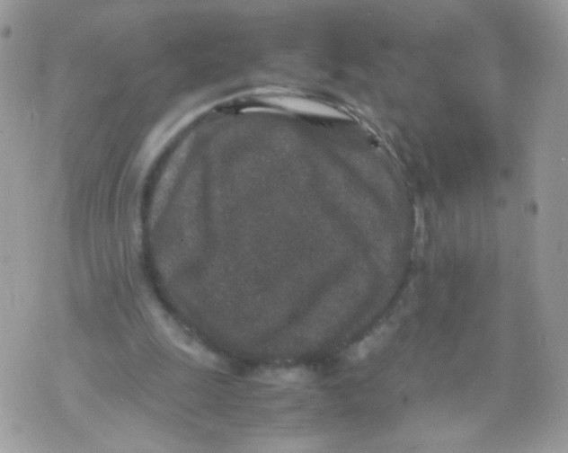 X0000070410247200607072316