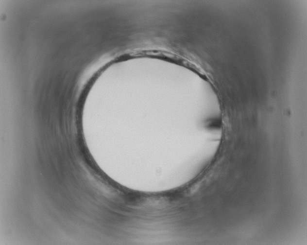 X0000070410248200607072316