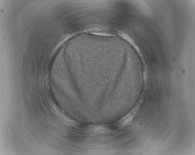 X0000070410249200607072316