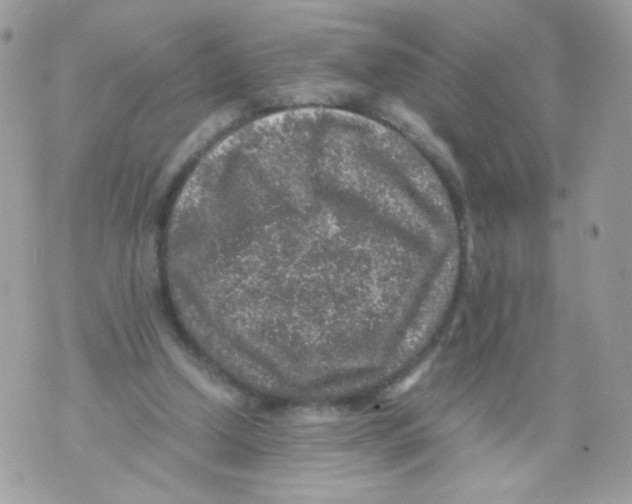 X0000070410250200607072316