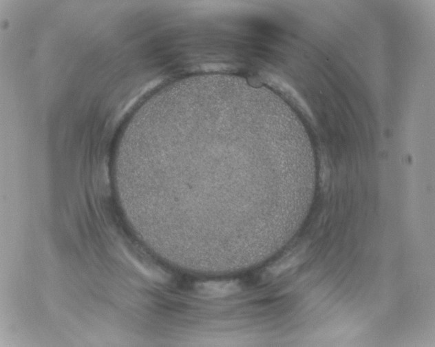 X0000070410251200607072316