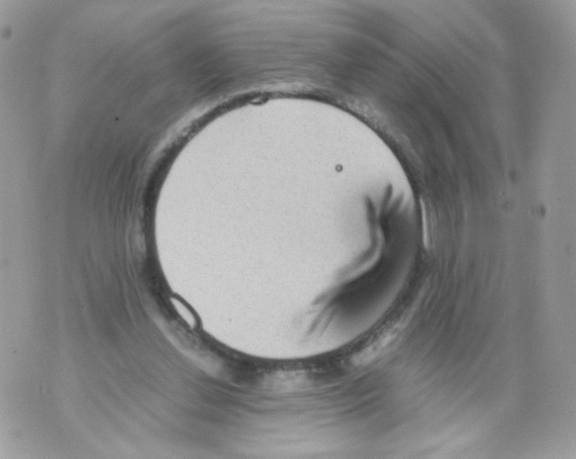 X0000070410252200607072316