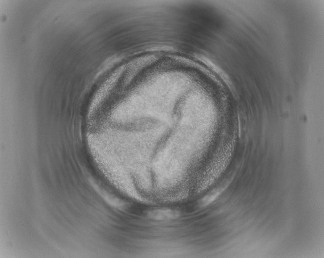 X0000070410253200607072316