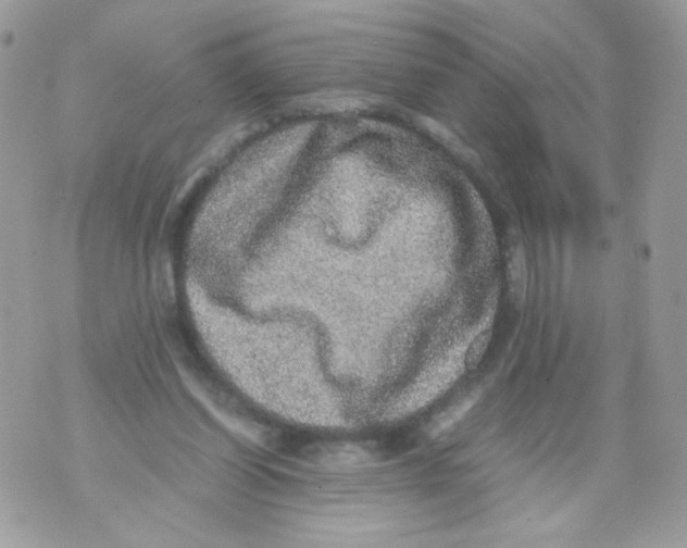 X0000070410254200607072316