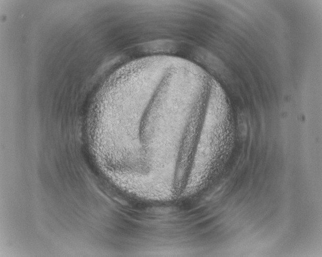 X0000070410255200607072316