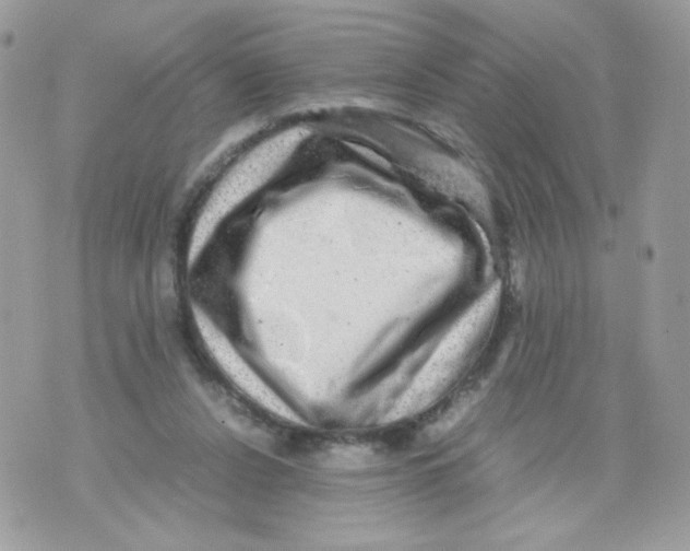 X0000070410256200607072316