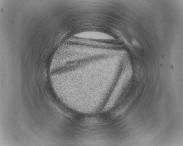 X0000070410259200607072316