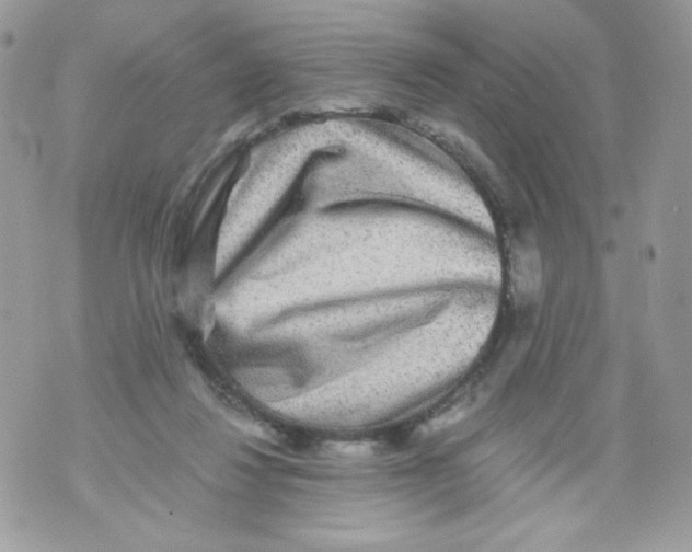 X0000070410260200607072316