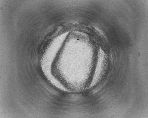 X0000070410261200607072316