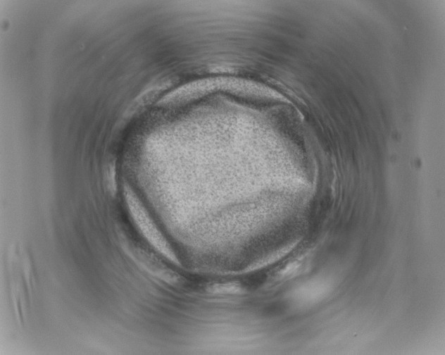 X0000070410262200607072316