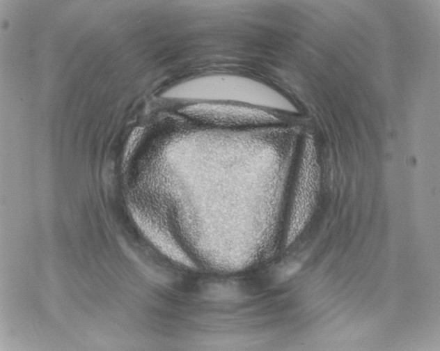 X0000070410263200607072316