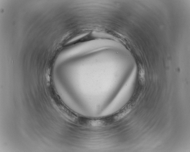 X0000070410264200607072316